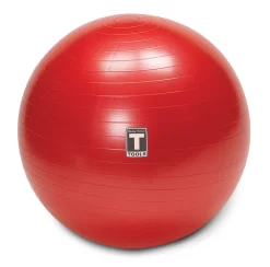 Body Solid Body-Solid Tools Stability Balls BSTSB -Optimaal Fitnessapparatuur Winkel BSTSB65 HERO