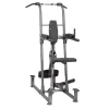 Body Solid Body-Solid Dip & Pull Up Station - FCDWA