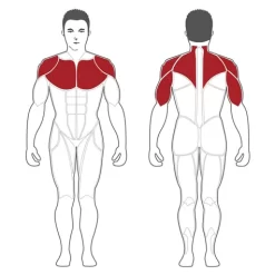 Optimaal Fitnessapparatuur Winkel -Optimaal Fitnessapparatuur Winkel pl2100mu max