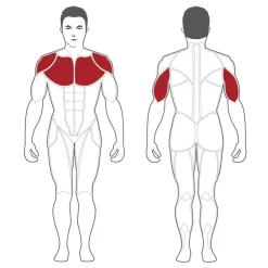 Optimaal Fitnessapparatuur Winkel -Optimaal Fitnessapparatuur Winkel plbpmu max