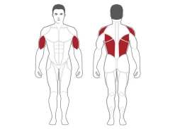 Optimaal Fitnessapparatuur Winkel -Optimaal Fitnessapparatuur Winkel pltrmu big