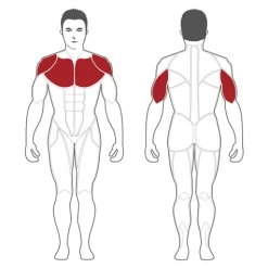 Optimaal Fitnessapparatuur Winkel -Optimaal Fitnessapparatuur Winkel psipmu big